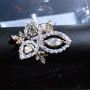 Pırlanta / CVD Analiz Cihazı